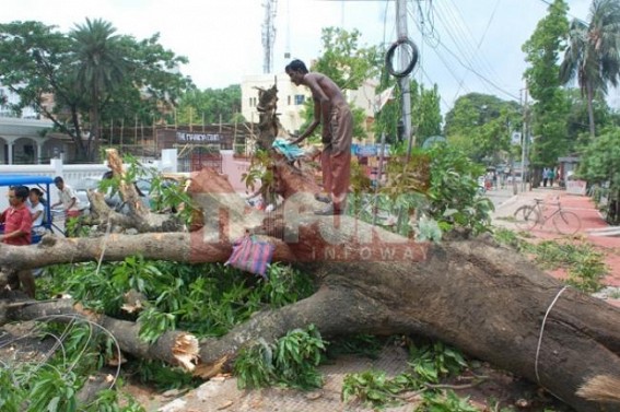 Storm knock down trees, electric poles, damage buildings in the interior areas of Tripura 